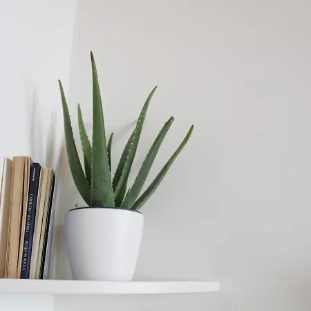 Charming & Modern In The 아파트 베르가모