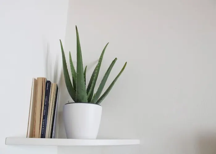 Charming & Modern In The Daire Bergamo